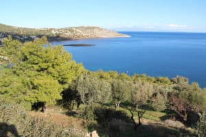 תיירים מכל העולם עולים אליו לרגל ותיירות היא מרכיב חשוב בהפיכת בתים למכירה בקפריסין, עליית התשואה בהשקעה שלנ
